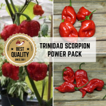 Trinidad Scorpion BIO Chili Pflanzen-Power-Pack 