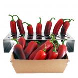 West of Texas® - Chili Rack - Stainless Steel 