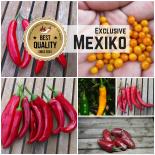 Seed Assortment 'Mexican Fire' 