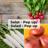 Salat-Pep up - Gemüse Saat Sortiment 