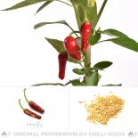 Santa Fe Grande Chilli Seeds 