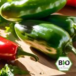 BIO Jalapeño Santiago Chilisamen 