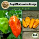 BIO Naga/Bhut Jolokia Orange Chilisamen 