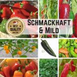 Seed Assortment 'Tasty & Mild' 