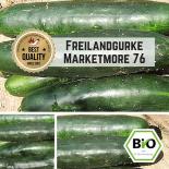 Cucumber Marketmore 76 Sortiment seeds 