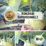 Giant White Kohlrabi Seeds 