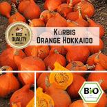 BIO Orange Hokkaido (Kürbis) Samen 