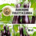 Eggplant / Aubergine (Violetta lunga) seeds 