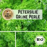 BIO Petersilie (Grüne Perle) Samen 