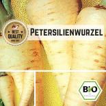 BIO Petersilienwurzel (Halblange) Samen 
