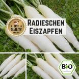 Radishes (icicles) seeds 