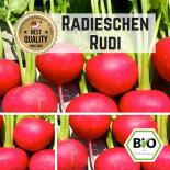 Radishes (Rudi) seeds 