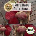 BIO Rote Rübe (Rote Kugel) Samen 