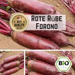 Beetroot (forono) seeds 