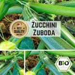 BIO Zucchini (Zuboda) Samen 