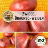 Onion (Brunswick) seeds 