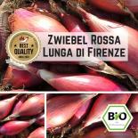 Onion (Rossa Lunga di Firenze) seeds 