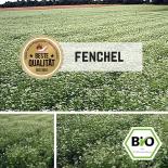 BIO Fenchel Samen 