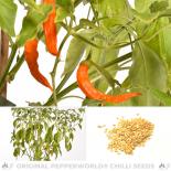 Sili A Top Chilli Seeds 