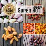 Saat Sortiment "Super Hot Exclusive" 
