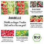 Bio Saat Sortiment Kirschtomate- 5 extrem leckere Tomatensorten für einen traumhaften Salatgenuss 