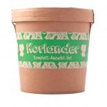 Spicy Garden Cilantro 