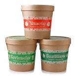 Spicy Garden Saver Pack - Cilantro, Basil & Tomato 