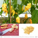 Sugar Rush Peach Chili Seeds 