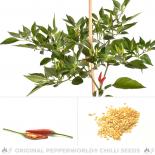 Yukari Bakan Chili Seeds 