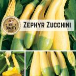Zephyr Zucchini Samen 