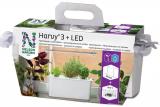 Hydroponik Harvy 3 PLUS LED 
