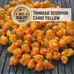 Trinidad Scorpion Cardi Yellow Chilisamen 