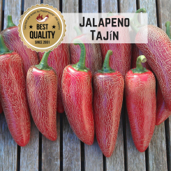 Jalapeno Tajin Chilli Seeds 