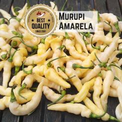 Murupi Amarela Chilisamen 