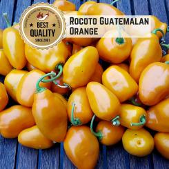 Rocoto Guatemalan Orange Chilisamen 