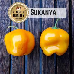 Sukanya Chilisamen 