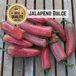 Jalapeño Dulce Chilisamen 