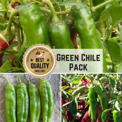 Green Chile Exclusive - Seed Special 2017 