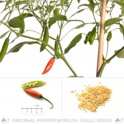 Aji Huanuco Chilisamen 