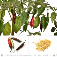 Aji Red Big Brasil Chili Seeds 