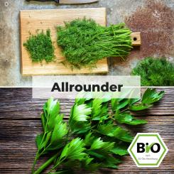 BIO Allrounder - Kräuter Saat Sortiment 