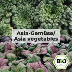 Asia vegetables - Vegetable seed set 
