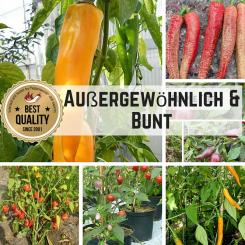 Saat Sortiment "Außergewöhnlich und Bunt" 