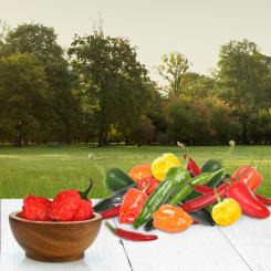 BBQ Chili Mix mit Carolina Reaper 