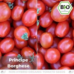 Organic Principe Borghese tomato seeds (cocktail tomato) 