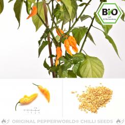 BIO Fatalii Chilisamen 