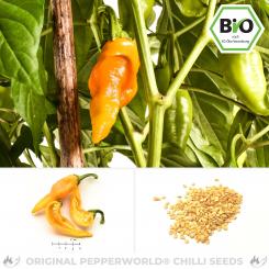 Organic Monkeyface Chilli Seeds 