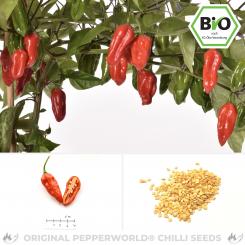 BIO Naga Morich Chilisamen 