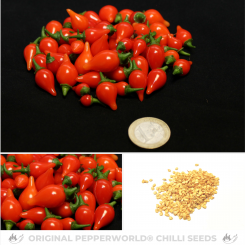 Biquinho Vermelho Chili Seeds 