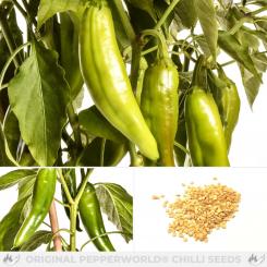 Aji Verde Chilisamen 